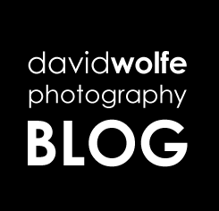 David Wolfe Caribbean Photographer Blog – Cayman Islands logo