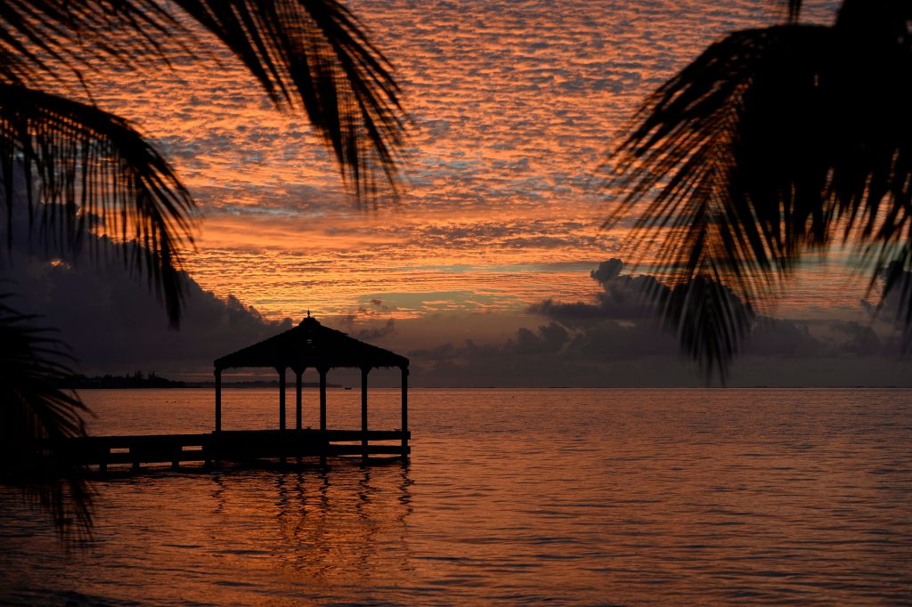 cayman stock photography