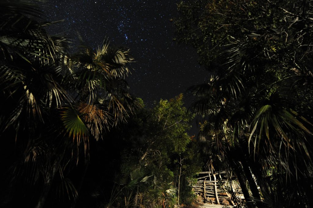 cayman night sky